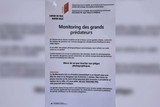 Des fausses affiches du Service de la chasse, de la pêche et de la faune, posées notamment à Sierre.